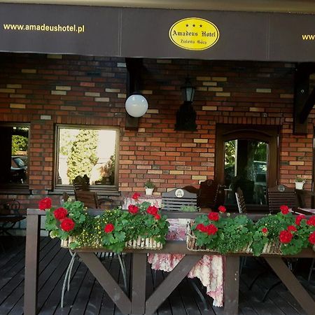 Amadeus Hotel Zielona Gora Екстериор снимка